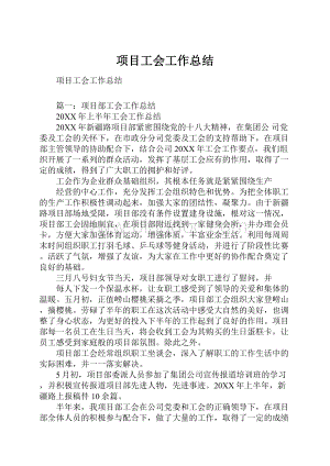 项目工会工作总结.docx