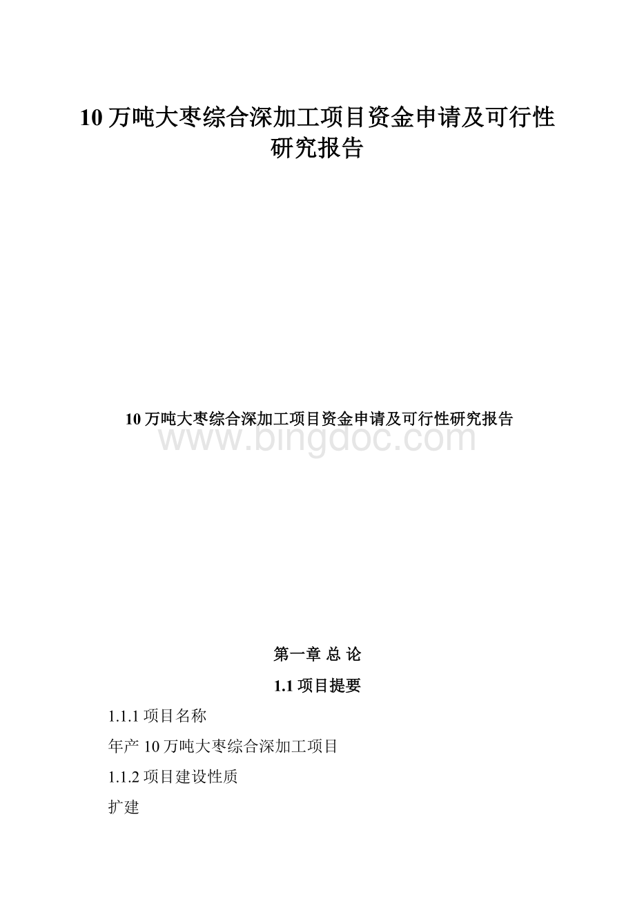 10万吨大枣综合深加工项目资金申请及可行性研究报告.docx