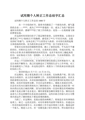 试用期个人转正工作总结字汇总.docx