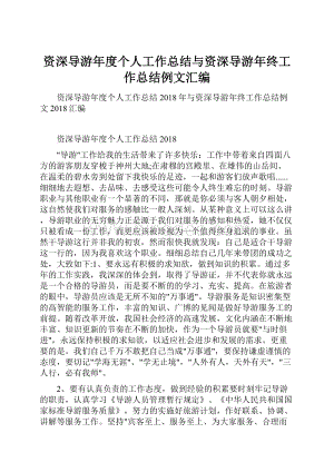 资深导游年度个人工作总结与资深导游年终工作总结例文汇编.docx