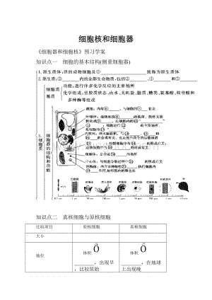 细胞核和细胞器.docx