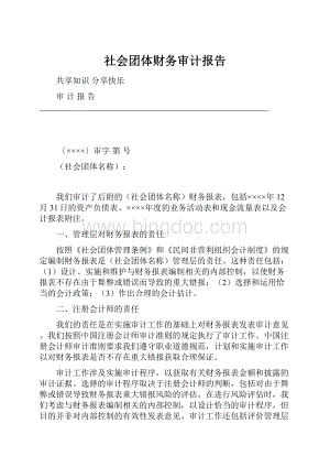 社会团体财务审计报告.docx