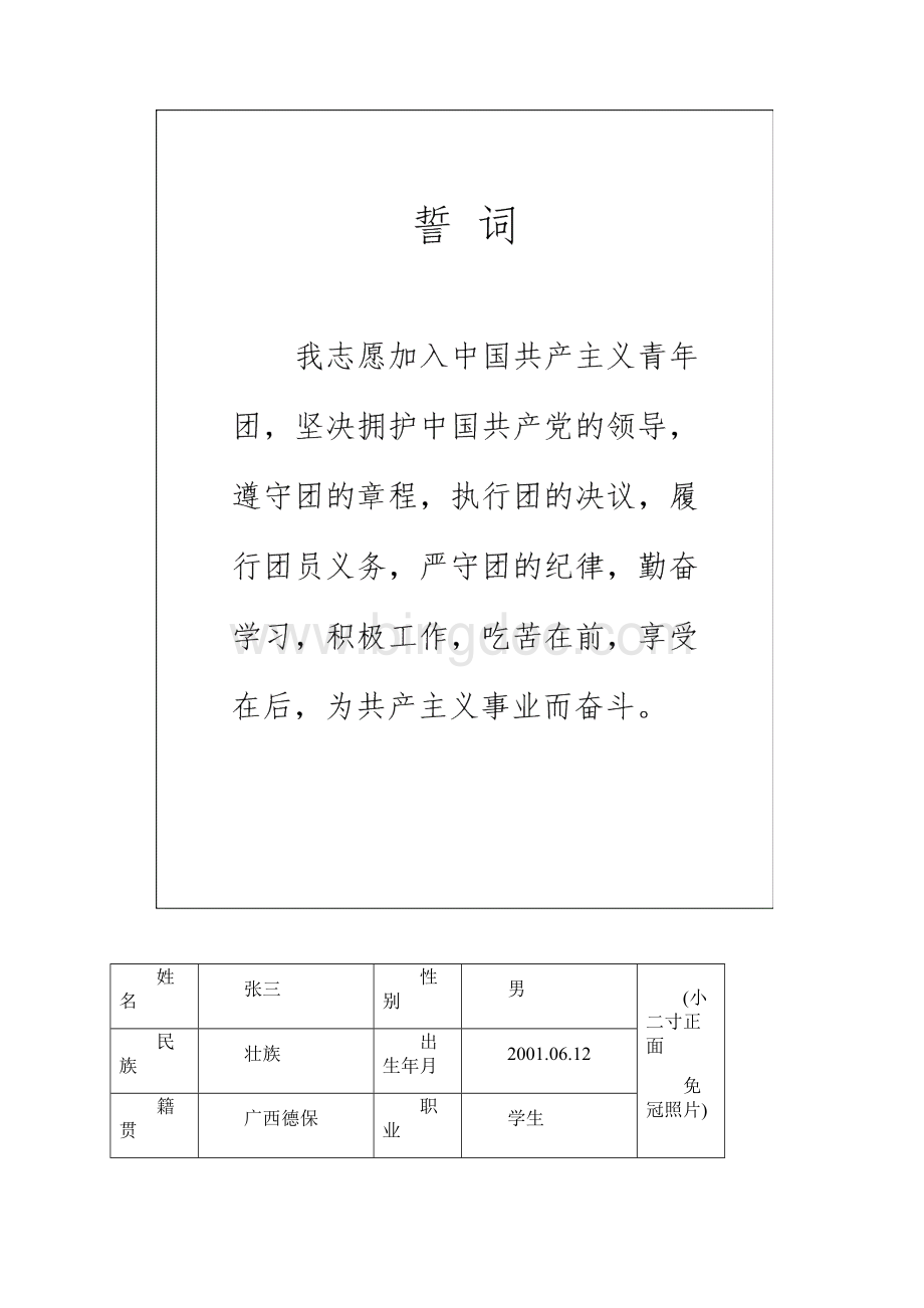 最新版入团志愿书填写模板.docx_第2页