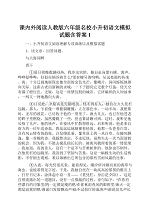 课内外阅读人教版六年级名校小升初语文模拟试题含答案1.docx