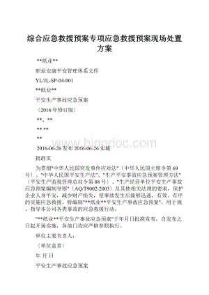 综合应急救援预案专项应急救援预案现场处置方案.docx