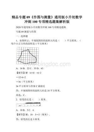 精品专题09《作图与测量》通用版小升初数学冲刺100专项精选题集解析版.docx