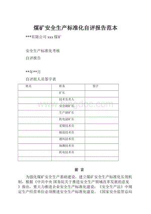 煤矿安全生产标准化自评报告范本.docx