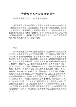 大唐集团人才发展规划报告.docx