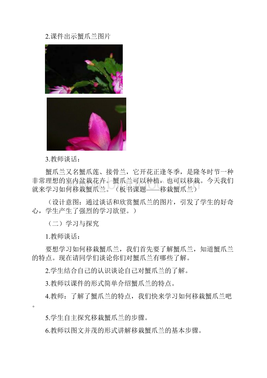 五年级综合实践活动《植物栽培》.docx_第3页