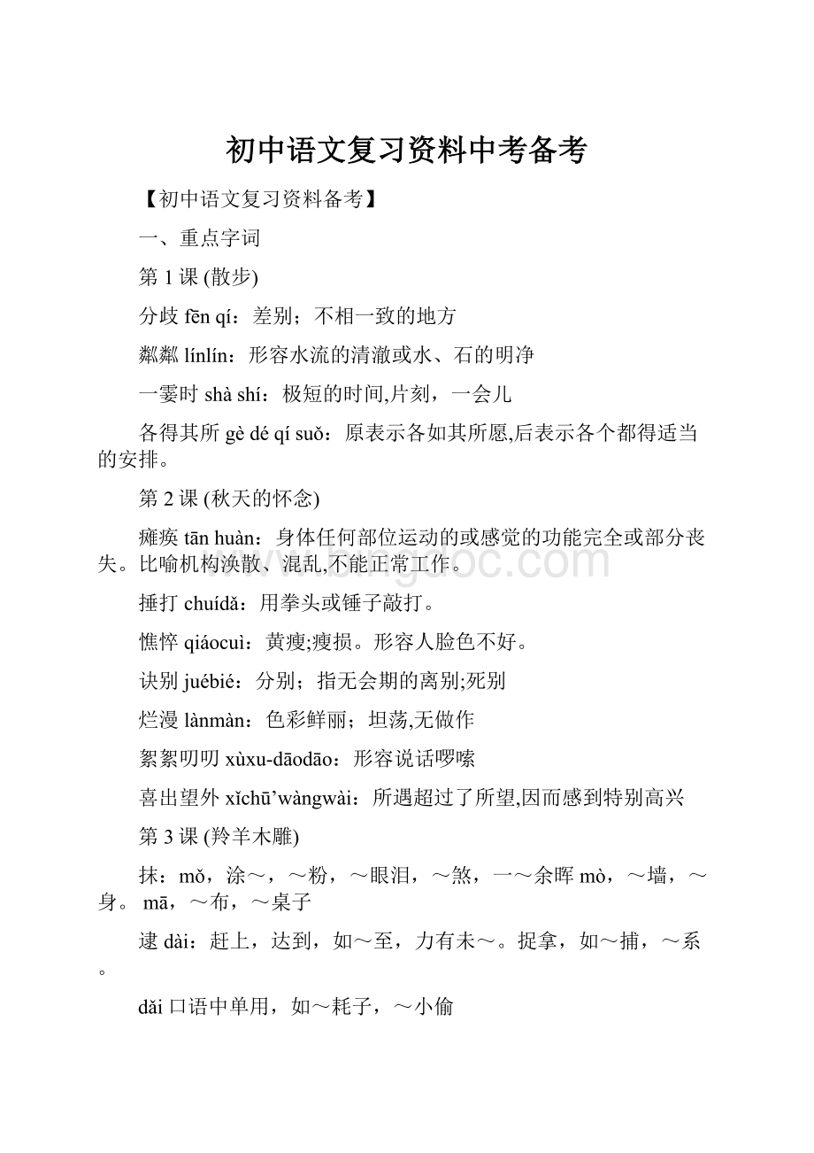 初中语文复习资料中考备考.docx_第1页