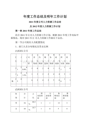 年度工作总结及明年工作计划.docx