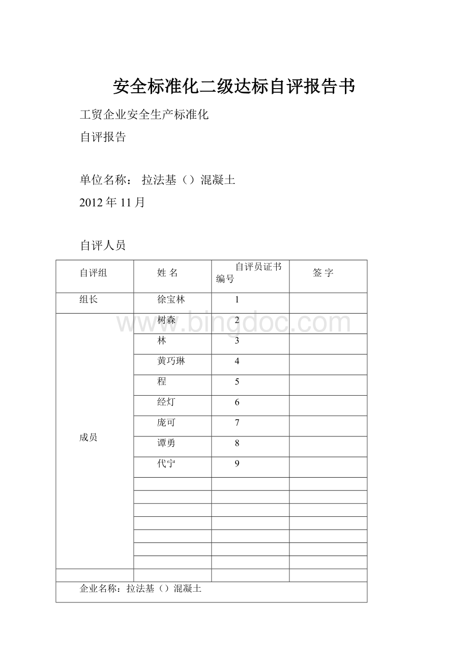 安全标准化二级达标自评报告书.docx_第1页