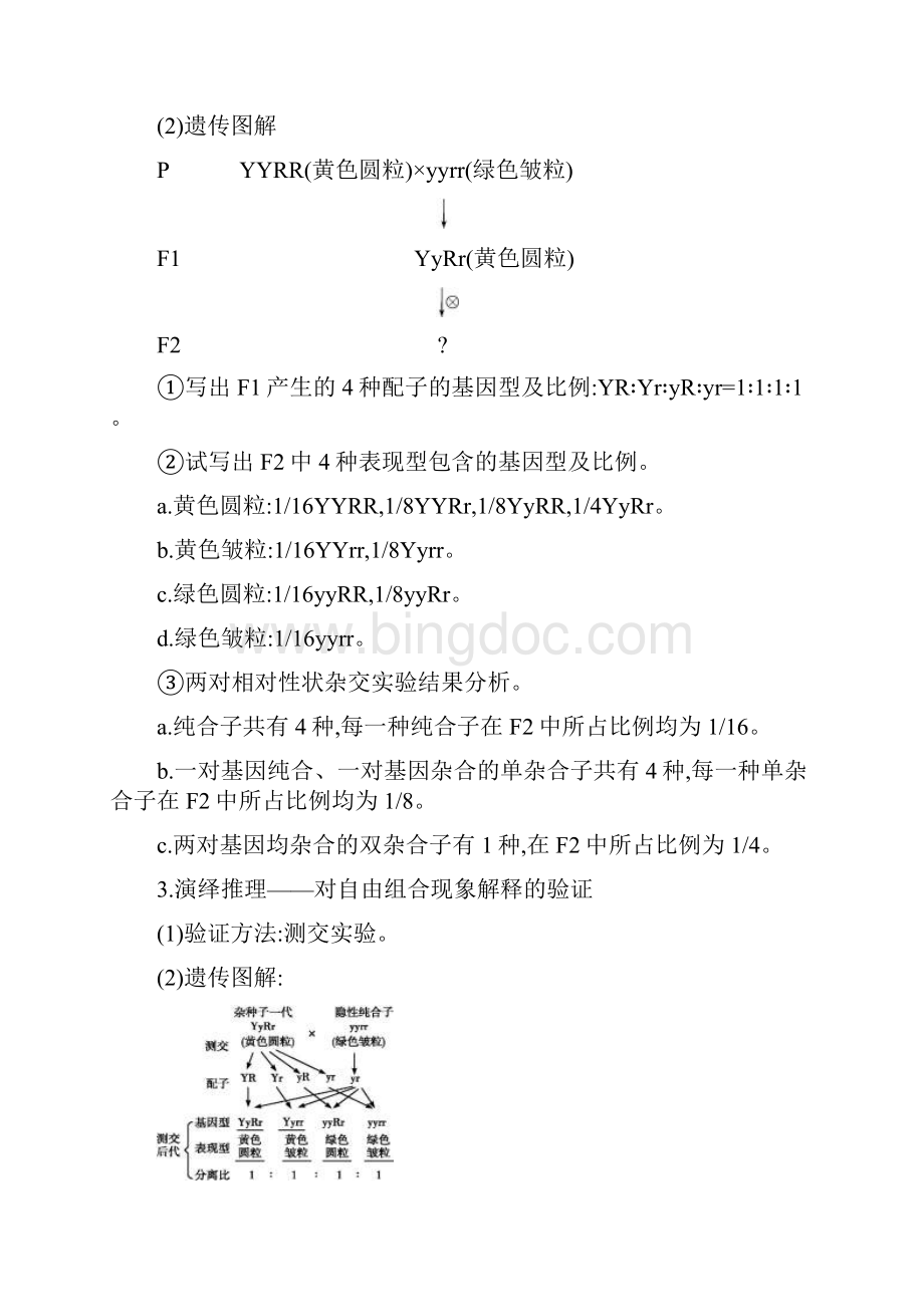 届 一轮复习人教版 基因的自由组合定律 学案.docx_第3页