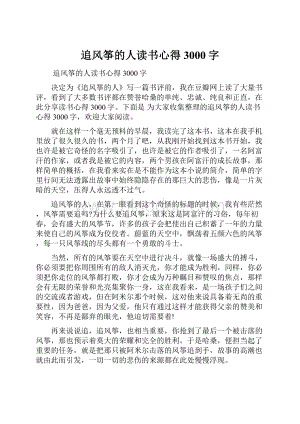 追风筝的人读书心得3000字.docx