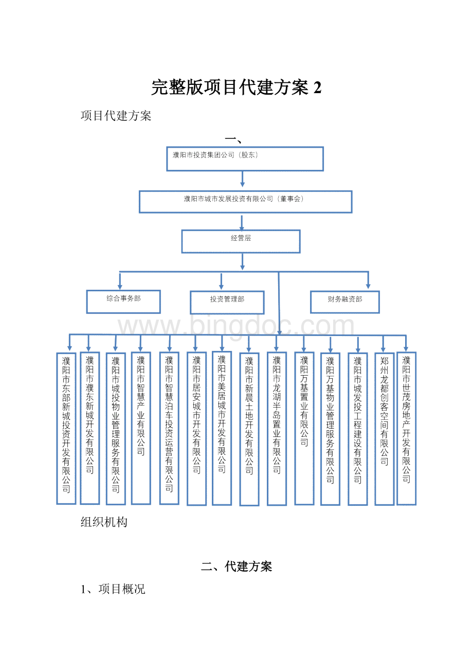 完整版项目代建方案2.docx_第1页