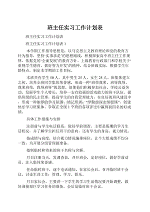 班主任实习工作计划表.docx