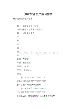 煤矿安全生产实习报告.docx