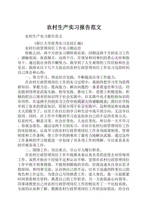 农村生产实习报告范文.docx