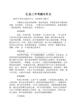 汇总三中考满分作文.docx