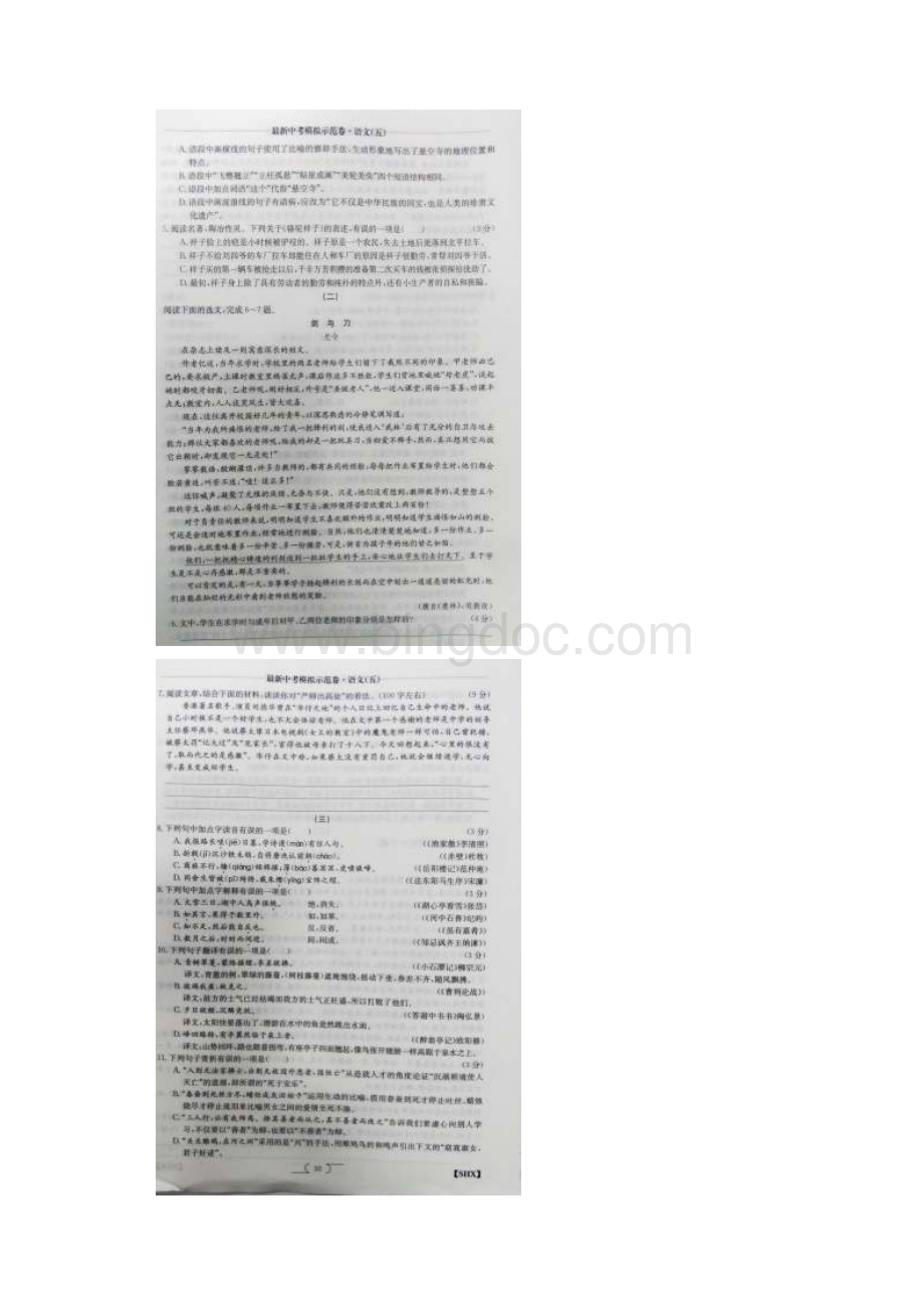 中考语文模拟考试试题五扫描版.docx_第2页