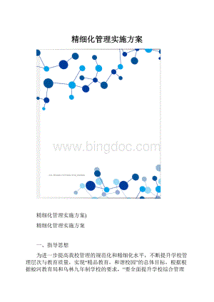 精细化管理实施方案.docx