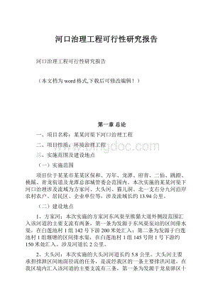 河口治理工程可行性研究报告.docx