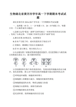 生物湖北省黄冈市学年高一下学期期末考试试题.docx