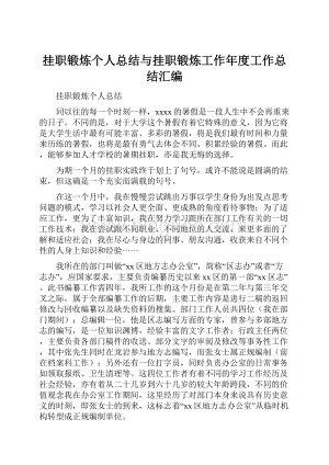 挂职锻炼个人总结与挂职锻炼工作年度工作总结汇编.docx