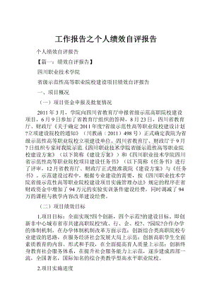 工作报告之个人绩效自评报告.docx