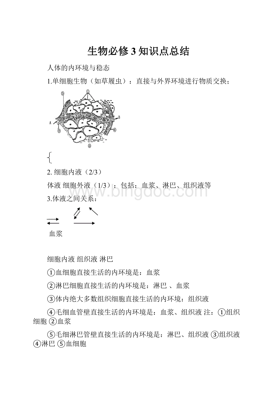 生物必修3知识点总结.docx