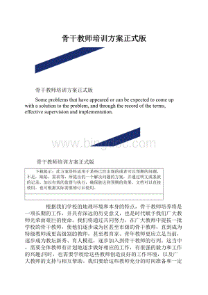 骨干教师培训方案正式版.docx