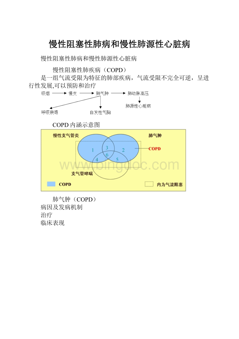 慢性阻塞性肺病和慢性肺源性心脏病.docx_第1页