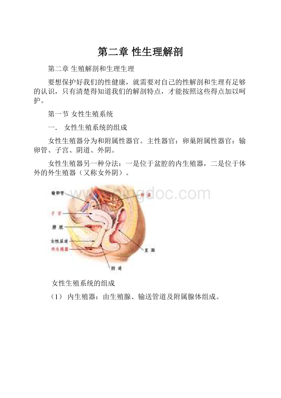 第二章 性生理解剖.docx