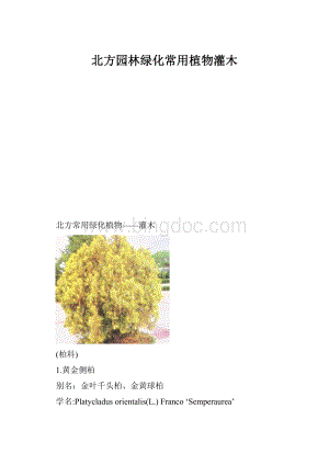 北方园林绿化常用植物灌木.docx