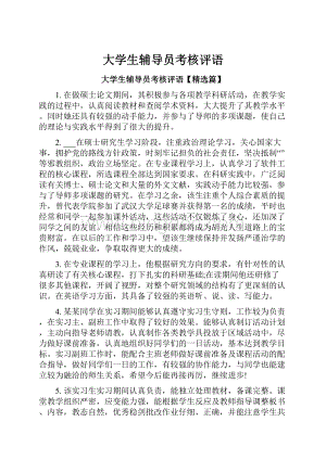 大学生辅导员考核评语.docx