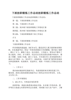 下派挂职锻炼工作总结挂职锻炼工作总结.docx