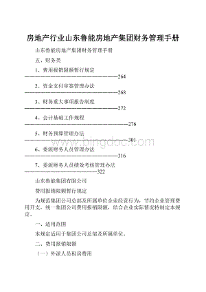 房地产行业山东鲁能房地产集团财务管理手册.docx