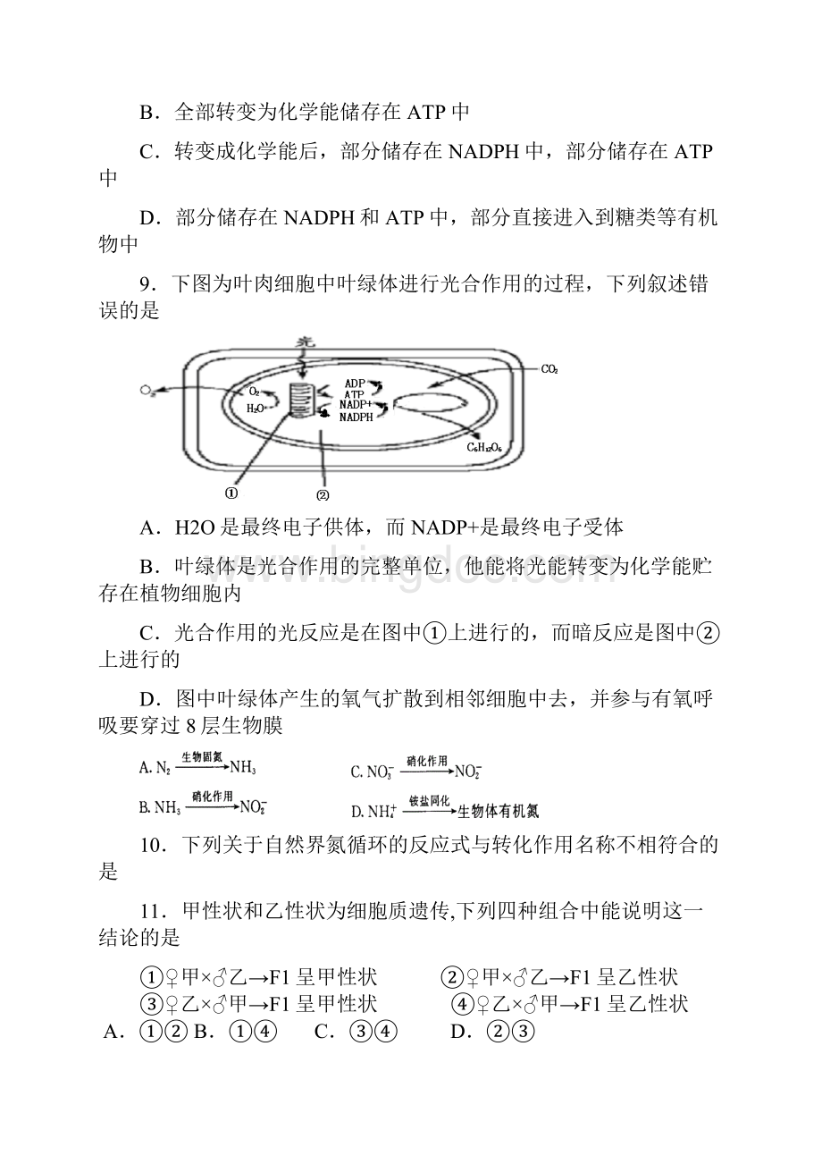 最新高三生物第一学期第二次阶段考试试题 精品.docx_第3页