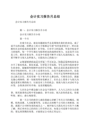 会计实习报告月总结.docx