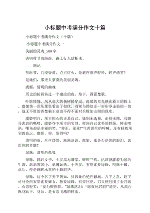 小标题中考满分作文十篇.docx