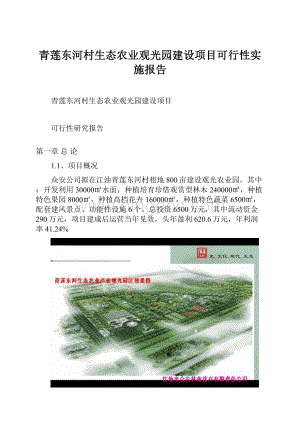 青莲东河村生态农业观光园建设项目可行性实施报告.docx