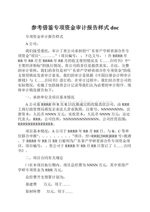 参考借鉴专项资金审计报告样式doc.docx