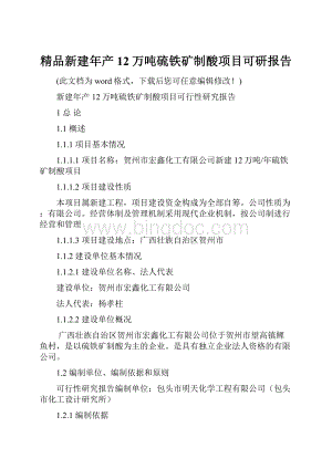 精品新建年产12万吨硫铁矿制酸项目可研报告.docx