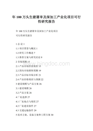 年100万头生猪屠宰及深加工产业化项目可行性研究报告.docx