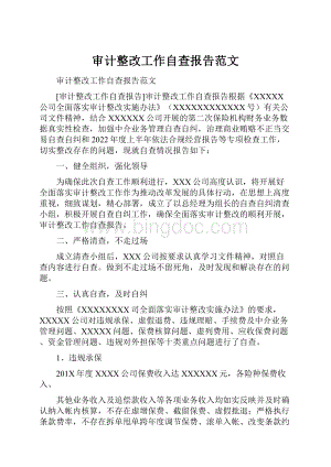 审计整改工作自查报告范文.docx