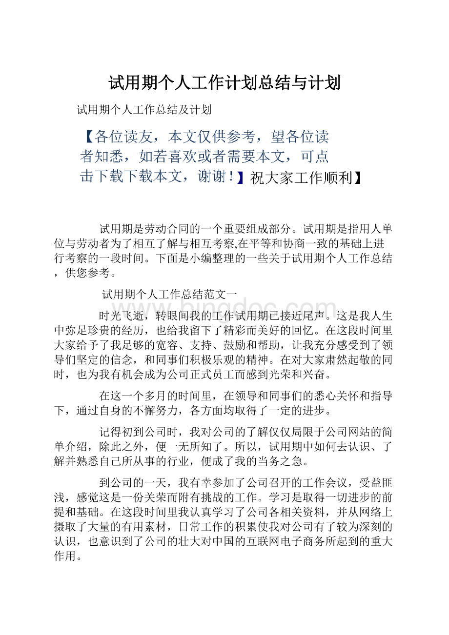 试用期个人工作计划总结与计划.docx_第1页