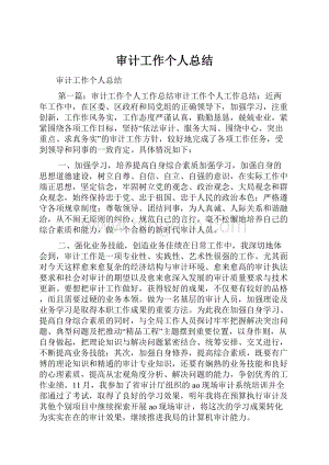 审计工作个人总结.docx