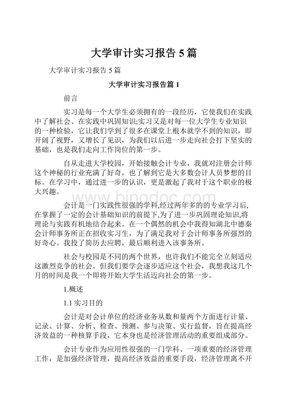 大学审计实习报告5篇.docx_第1页