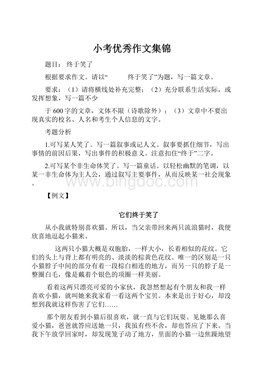 小考优秀作文集锦.docx_第1页