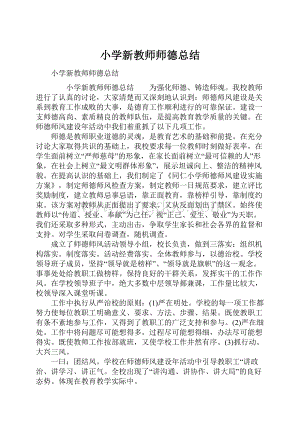 小学新教师师德总结.docx